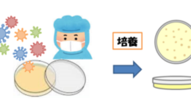 『 皆様の厨房環境は“清潔”ですか？ 』　“ 厨房の衛生管理 ”はできていますか？　～その②～