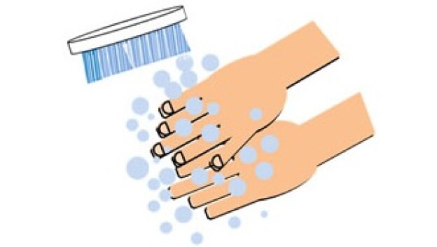 食中毒防止対策に必要不可欠な「衛生的手洗い」とは