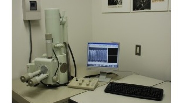 繊維製品の表面変化を調べるにも、電子顕微鏡による拡大観察が有効です。