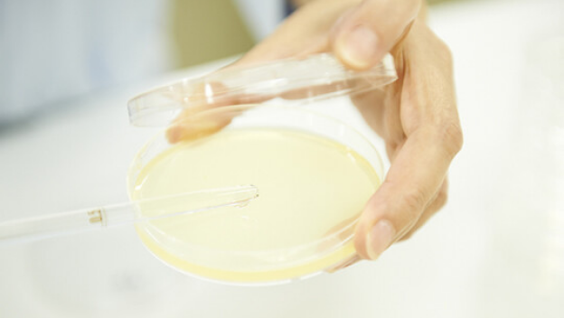 食の安心安全を守る要　～食品の細菌検査について～