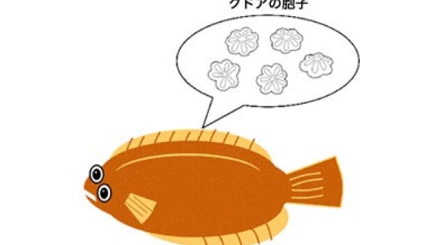 魚介類の適正な衛生管理で、食中毒対策を