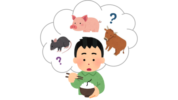あなたの知らない、動物毛混入のリスク