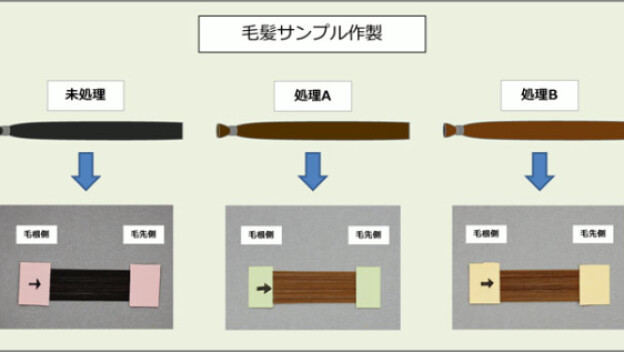 「毛髪曲げ特性試験」で髪のハリやコシを“見える化”