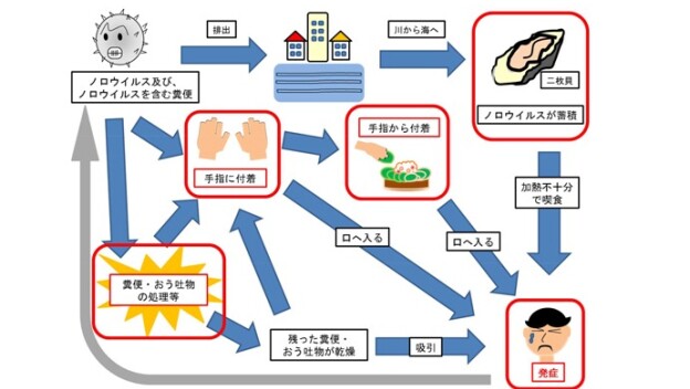 食中毒対策は万全ですか？ １１月以降に多発する“ノロウイルス” に厳重注意！